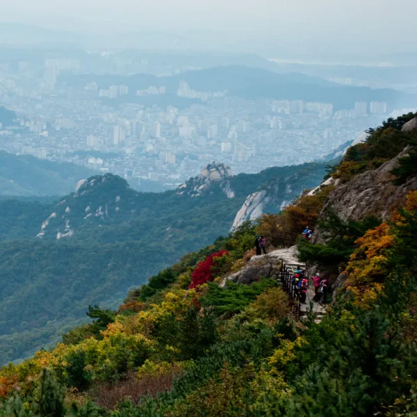 모던 소담살롱 테라피 안내 이미지
